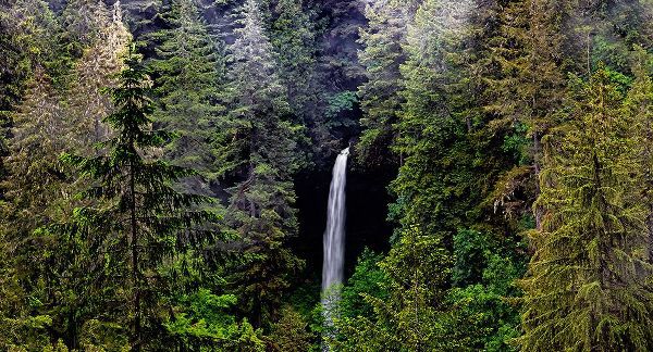 Restuccia, Joe III 아티스트의 USA-Oregon-Silver Falls State Park-North Falls작품입니다.